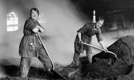 Home Fires
