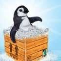 Mr Popper’s Penguins