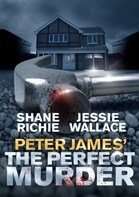 The Perfect Murder