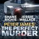 The Perfect Murder