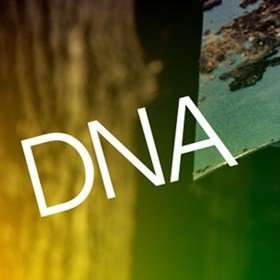 NYTDNA280