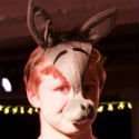 A Midsummer Night's Dream Pop-Up Theatre