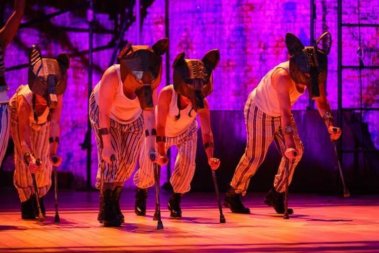 The wolves, PETER PAN (c) Steve Tanner