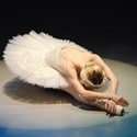 Swan Lake - Vienna Festival Ballet