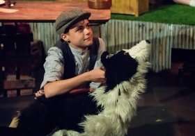 Goodnight Mr Tom Bradley Riches as Sammy Photo Eliza Wilmot